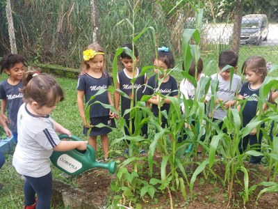Unificando dois projetos, turma do Infantil aprende sobre costumes indígenas e faz plantio de milho