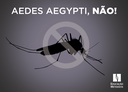 Centenário entra na luta contra o mosquito Aedes aegypti
