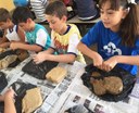 4 ano EFI - Atividade prática: estudantes confeccionam vulcões