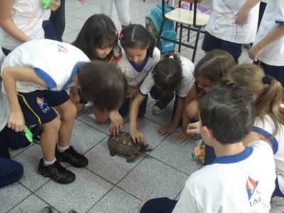 2º ano I a reciclagem continua