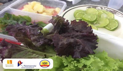 Turmas da Educação Infantil fazem receitas com hortaliças do projeto Cantinho Verde - Período da manhã