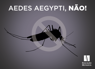Colégio Piracicabano entra na luta contra o mosquito Aedes aegypti