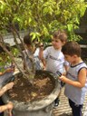 Alunos da Educação Infantil investigam e conhecem animais de jardim