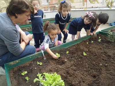 Turmas da Educação Infantil plantam e acompanham desenvolvimento de vegetais